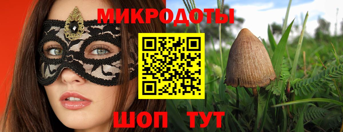 Псилоцибиновые грибы Psilocybine cubensis Джанкой